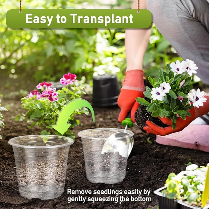 20 Pack 6 Inch Clear Nursery Pots,Plastic Transparent Plant Pot with Drainage Holes and Saucers,Plant Pot Seed Starter Pots for Succulents (6 Inch)
