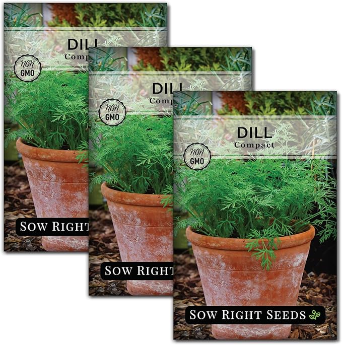 Sow Right Seeds - Compact Dill Seeds for Planting - Non-GMO Heirloom Packet with Instructions to Grow an Outdoor or Indoor Herb Garden - Great for Pickling - The Perfect Patio & Container Size (3)