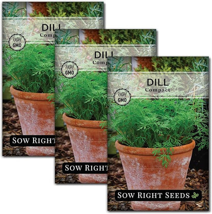 Sow Right Seeds - Compact Dill Seeds for Planting - Non-GMO Heirloom Packet with Instructions to Grow an Outdoor or Indoor Herb Garden - Great for Pickling - The Perfect Patio & Container Size (3)