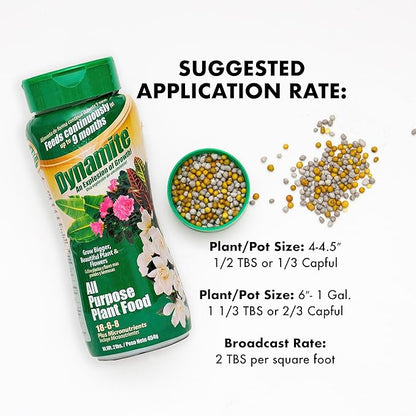 Dynamite 2 lb All Purpose 9 Month Plant Food