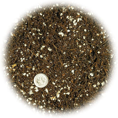 Gardenera Fern + Perlite Soil Mix for Repotting and Planting Succulents and Cactuses - 2 Quart Bag