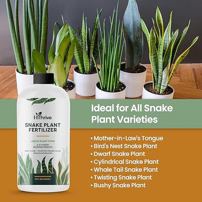 32oz Snake Plant Fertilizer for Snake Plant Live - Makes 192 Gallons of Fertilizer for Indoor Plants, Ideal for Healthy Growth, Strong Leaves, and Vibrant Color - Rich in Macro & Micronutrients