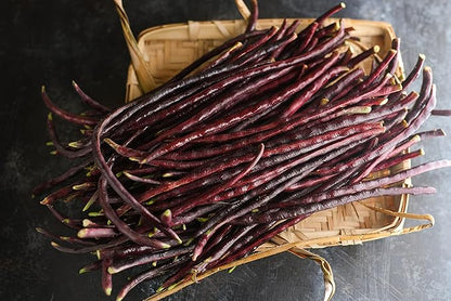 Purple Yard Long Bean Seeds 85+ Seeds, Asian Heirloom Yard Long Beans Seeds, Asparagus Beans Seeds, Phaseolus Vulgaris, Non GMO