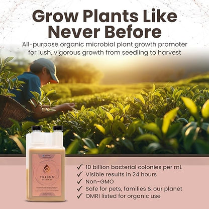 Tribus Organic Microbial Inoculant – Root Booster for Plants, Increases Plant Yield, Root Growth, Flower & Fruit Quality. Bloom Booster. Visible Root Growth in 24Hrs. Packaging May Vary. 33.8 oz