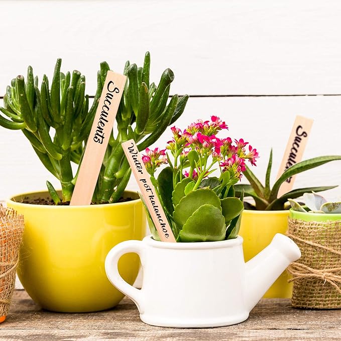 Whaline 50Pcs Wooden Plant Labels with A Marker Pen, Waterproof Pointed Wooden Plant Sign Tags Eco-Friendly Garden Markers for Seed Potted Herbs Flowers Vegetables (15 x 2 cm)
