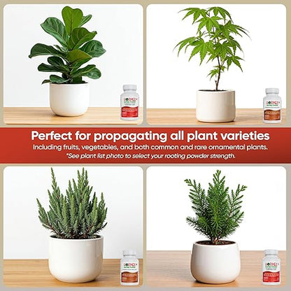 Hormex Rooting Powder #8,#16 (0.80-1.60% IBA) for Hardwood Plants, Trees & Shrubs - High Strength Root Powder, Root Stimulator for Plants, Rooting Hormone for Cuttings, Cloning, & Propagation (2 Pack)