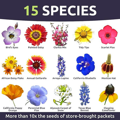 Southwest Regional Mix - Large 1 Ounce Packet - 15,000 Flower Seeds for Planting - Wildflower Mix