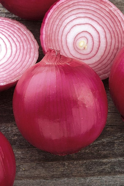 Burpee Red Creole Onion Seeds 300 seeds