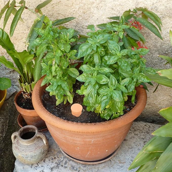 3pcs Terracotta Plant Watering Globes 3.5 * 10inch Terracotta Watering Pots Self Watering Planter 900ml for Indoor Outdoor Plants Clay Plant Watering Globes Planter Insert Watering Pots