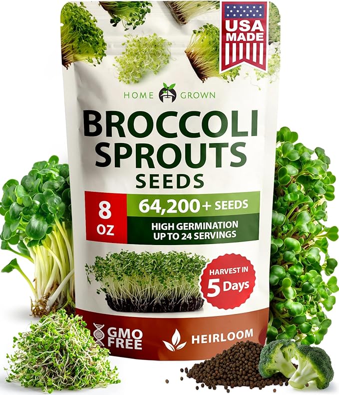 HOME GROWN Broccoli Seeds 8 oz - for Sprouting or Microgreens High Germination Sprout Seeds Nutritious Micro Greens - Broccoli Sprouts in 5 Days - Sulforaphane Rich