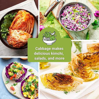 Sow Right Seeds - Cabbage Seed Collection for Planting - Savoy, Jersey Wakefield, Red Acre, Golden Acre, Copenhagen, Round Dutch - Non-GMO Heirloom Varieties to Plant and Grow a Home Vegetable Garden