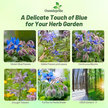 Outsidepride Blue Borage Seeds for Planting – 1 oz. Annual, Drought-Tolerant Herb Seeds with Star-Shaped Blooms, Attracts Bees for Pollinator Gardens, Summer Teas, Decoration & Culinary Use