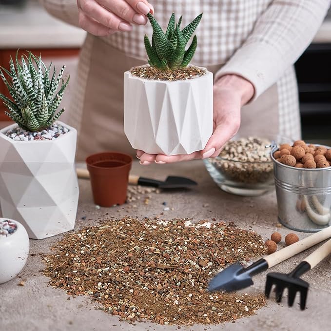 Succulent & Cactus Soil Potting Mix 1qt, Chunky Dirt with Fast Draining Fits for Bonsai, Terrarium and Houseplant