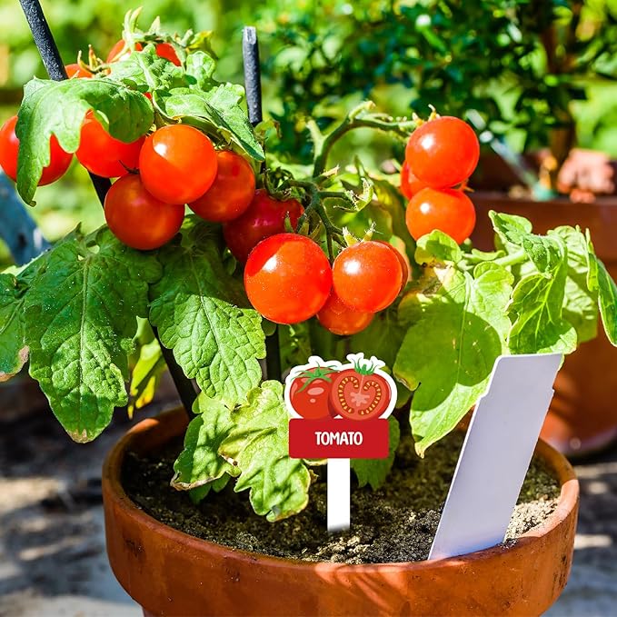 60pcs Vegetable Plant Label Signs - 26 Styles Garden Stakes Tags with Name & 8 Blank Markers Waterproof Fruit Plant Tag for Indoor Outdoor Garden Nursery Greenery Seedling Potted Plant Decoration