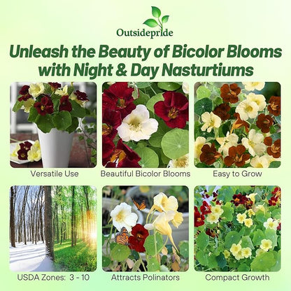 Outsidepride Single Night & Day Nasturtium Seeds - 200 Pcs Annual, Easy to Grow & Versatile, Flower Seeds for Planting Vibrant Blooms, Ideal for Gardens, Borders, and Pollinator Gardens