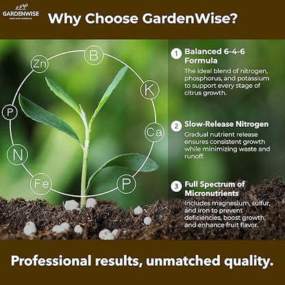 Professional Citrus Fertilizer + Vital Micronutrients; Perfect Balanced NPK for All Citrus; for Indoor and Outdoor Plants; Orange, Lime, Avocado and Lemon Tree Fertilizer (3 QUARTS)