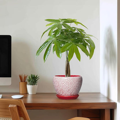 Ceramic Plant Pots - 6 Inch Pots for Plants Indoor Outdoor, Modern Planter with Drainage Hole and Tray, Round Decorative Flower Pot, Home Office Decor, House Warming Gifts, Crackle Red