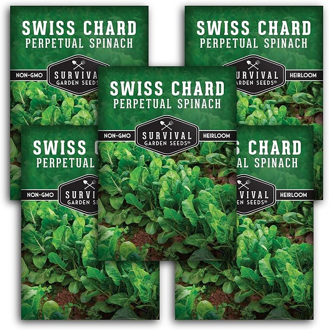 Survival Garden Seeds - Perpetual Spinach Seeds for Planting – Swiss Chard Variety with Spinach Flavor, Heat & Cold Tolerant Long Season Greens for Spring to Fall Harvest (5 Packs)