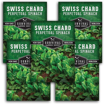 Survival Garden Seeds - Perpetual Spinach Seeds for Planting – Swiss Chard Variety with Spinach Flavor, Heat & Cold Tolerant Long Season Greens for Spring to Fall Harvest (5 Packs)
