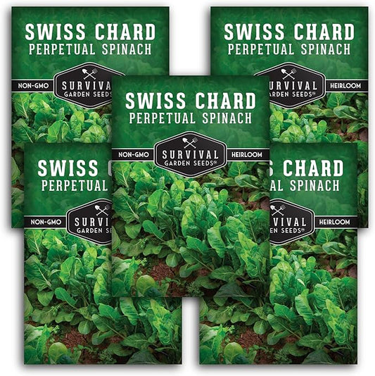Survival Garden Seeds - Perpetual Spinach Seeds for Planting – Swiss Chard Variety with Spinach Flavor, Heat & Cold Tolerant Long Season Greens for Spring to Fall Harvest (5 Packs)