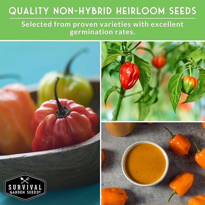 Habanero Pepper Seeds for Planting Variety Pack – 4 Varieties: Red, Orange, Yellow, & Mini White Extremely Hot Chili Peppers, Heirloom Non-GMO Open-Pollinated – Survival Garden Seeds