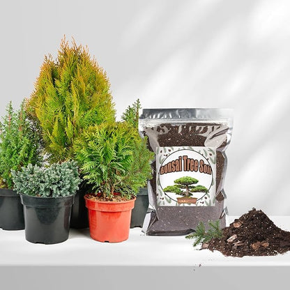 Bonsai Soil Mix 2qt Ready to Use, Organic Bonsai Tree Soil Fits for Small Bonsai Pot, Suitable for Bonsai Seedling, Repotting, or Bonsai Starter Kit, black