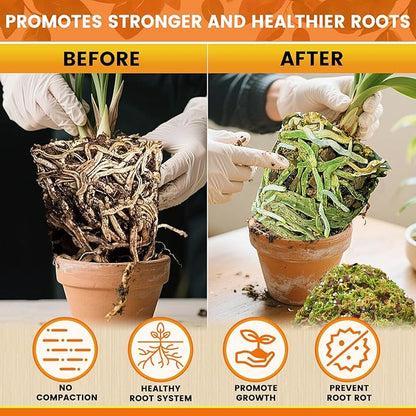 Legigo 2 QT Orchid Potting Mix for Repotting- Include Moss, Pine Bark, Perlite and Coco Peat, Orchid Bark Potting Mix, Orchid Soil for Potting Indoor Plants, Enhanced Drainage & Root Ventilation
