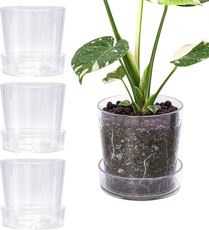 Phoenix Vine 6.5 Inch Clear Acrylic Planter Pot with Tray, Orchid Pot with Drainage Holes, Deep Saucer for Bottom Watering, Transparent Containers for Indoor Plants, Herbs, Set of 4, 91-A-F-4