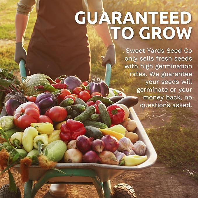 Organic Summer Squash Seeds Variety Pack - 5 Individual Packs - 2026 Season - Black Beauty, Cocozelle, Golden Zucchini and More! for Indoor & Outdoor Planting (Non-GMO, Certified Organic)