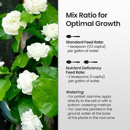 16oz Jasmine Fertilizer for Jasmine Plant Live - Makes 96 Gallons of Indoor Plant Food for Houseplants, Nutrient-Rich Houseplant Fertilizer - Ideal Outdoor & Houseplant Food for Vibrant Growth