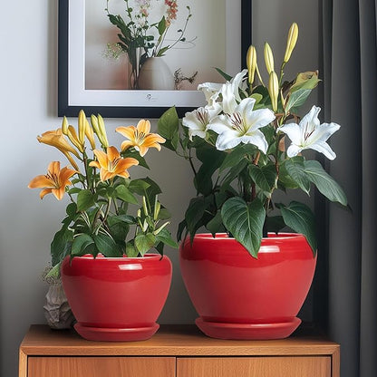 Ceramic Plant Pots, 10+8+6 Inch Ceramic Planters with Drainage Holes and Saucers, Round Decorative Pots for Plants Indoor Outdoor, House Decor, Gifts for Plant Lovers, Set of 3, Bright Red
