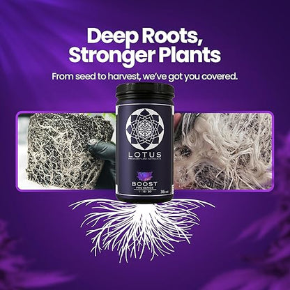 Boost Pro Series Bloom Booster and Yield Enhancer, Boost Any Plant Feeding Recipe for Turbo-Charged Flower Density/Oil Production, Amino Nitrogen Formula for Soil, Hydroponics and Coco Coir - 36 oz
