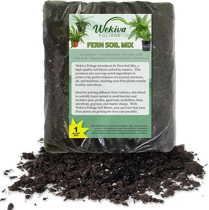 Fern Growing Soil Mix – 3 Quarts - Custom Soil Blend – Potting Mix for Fern Plants – Specially Developed by and for Professional Nursery Growers - Nutrient-Rich Formula