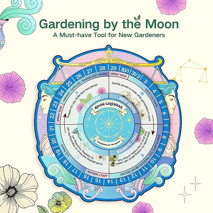 Lush&Dew Zodiac Garden Seed Bank, Gardening Gifts for Women Men, 12 Varieties Non-GMO Vegetables Herb Seeds in Seed Organizer, Magnetic Gift Box, Witchcraft Supplies, Air Signs Taurus Virgo Capricorn