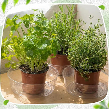 Hoolerry 15 Pcs Plastic Plant Saucer Clear Deep Drip Tray Thickened Clear Plant Saucers Trays for Pots Deep Drip Trays for Home Garden Indoor and Outdoor Potted (14 Inch)