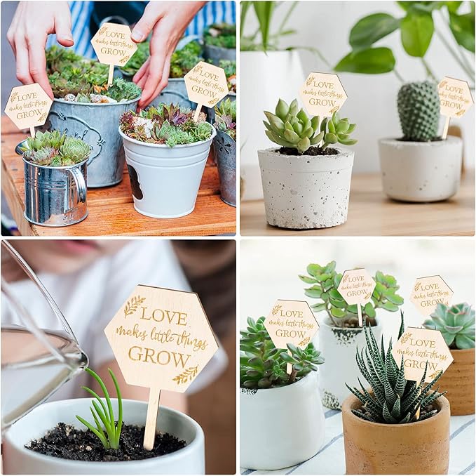 AnyDesign 30Pcs Love Makes Little Things Grow Plant Labels Wooden Plant Stakes Succulent Garden Marker Plant Sign for Seed Potted Teacher Appreciation Gift Wedding Baby Shower Thanksgiving Supplies