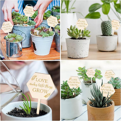 AnyDesign 30Pcs Love Makes Little Things Grow Plant Labels Wooden Plant Stakes Succulent Garden Marker Plant Sign for Seed Potted Teacher Appreciation Gift Wedding Baby Shower Thanksgiving Supplies