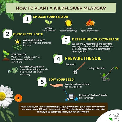 Wildflower Seed s – Perennial Flower Seeds Mix to Plant Anywhere, by Geva Grow | 12-Type Beautiful Perennial Wildflower Seeds Bulk 90,000+ Seeds, 2 Ounce, No Messy Packets
