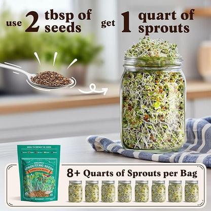 Seedboy Organic Non-GMO Sprouting Seeds, Superfood Blend - USA Grown Microgreens Mix with Broccoli, Radish, Pak Choi, Clover, Red Kale - 8 oz Makes 8 Quarts / 24 Servings (Superfood Blend)