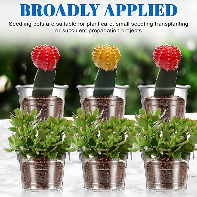 200 Pcs Clear Mini Plastic Plant Pot Nursery Seedling Pots Seed Starter with Drainage Holes for Indoor Outdoor Garden Succulent Plants Cuttings Transplanting
