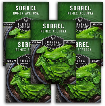 5 Packs Sorrel Seed for Planting - Packet with Instructions to Plant and Grow Rumex Acetosa Tangy Herb and Salad Greens in Your Home Vegetable Garden - Non-GMO Heirloom Variety - Survival Garden Seeds