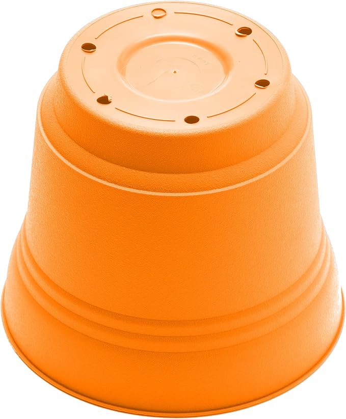 Bloem Saturn 10" Mango Round Resin Planter Pot with Snap-in Saucer for Indoor and Outdoor Gardening