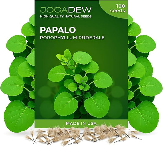 100+ Papalo Seeds – Mexican Herb Papaloquelite (Porophyllum ruderale) – Heirloom Garden Herb Seeds for Outdoor Garden, Raised Beds & Containers