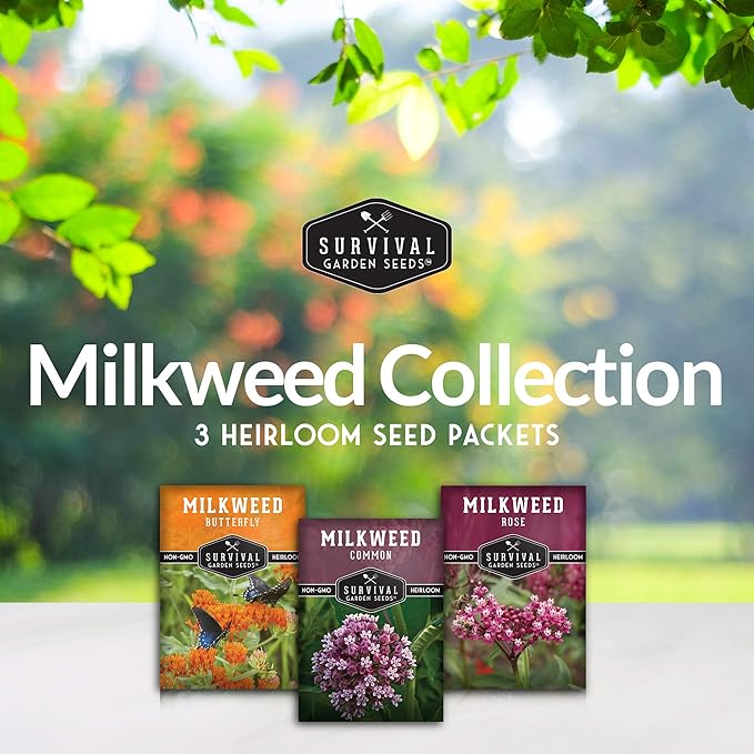 Survival Garden Seeds Milkweed Collection Seed Vault – Butterfly, Common & Rose (Swamp) Milkweed for Monarchs – Non-GMO Heirloom Seeds for Planting & Growing in a Pollinator Garden