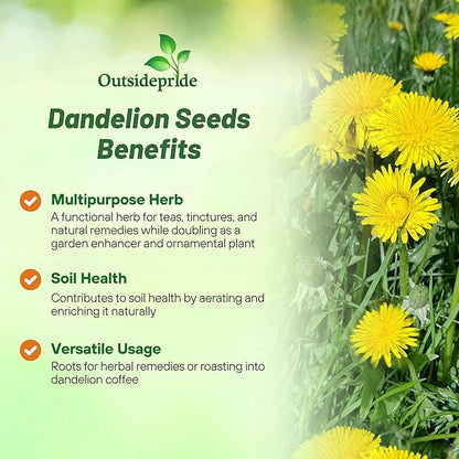 Outsidepride Dandelion Seeds for Planting - 10,000 Seeds Perennial, Easy to Grow & Drought Tolerant, Taraxacum Officinale Herb Seeds with Yellow Blooms for Edible Landscaping & Wildlife Attraction