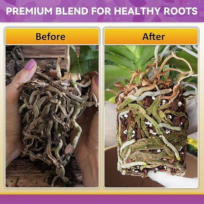 Riare 6QT Orchid Potting Mix, Natural Orchid Bark Potting Mix Soil Medium with Pine Bark and Perlite, Premium Orchid Repotting Kit for Phalaenopsis Dendrobiums, Enhanced Drainage & Root Expansion