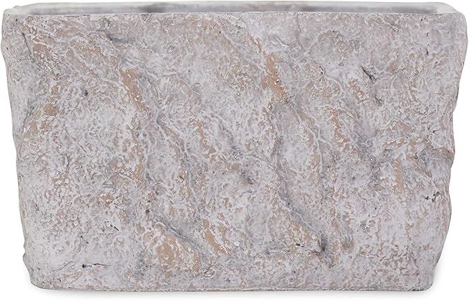 Cheung's Rectangular Cement Ceramic Planter, Gray
