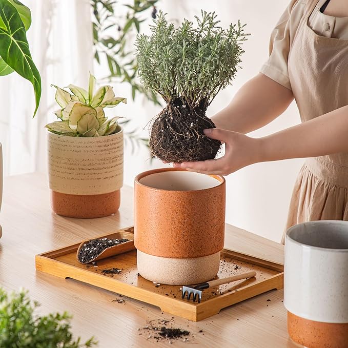Self Watering Plant Pot: 6 Inch Ceramic Planter with Drainage Hole & Water Storage Plus - Flower Pot for Indoor & Outdoor Plants (Terracotta, Small)
