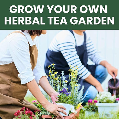 Herbal Tea Garden Seeds | 15 Individual Packs | 2026 Season | Non-GMO | Chamomile, Mint, Lavender, Holy Basil & More! | Grow Your Own Fresh Tea Herbs | by Family Sown