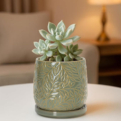 D'vine Dev 5 Inch Embossed Leaves Stoneware Planter Pot with Drainage Hole and Saucer, Olive, 27-A-V-0